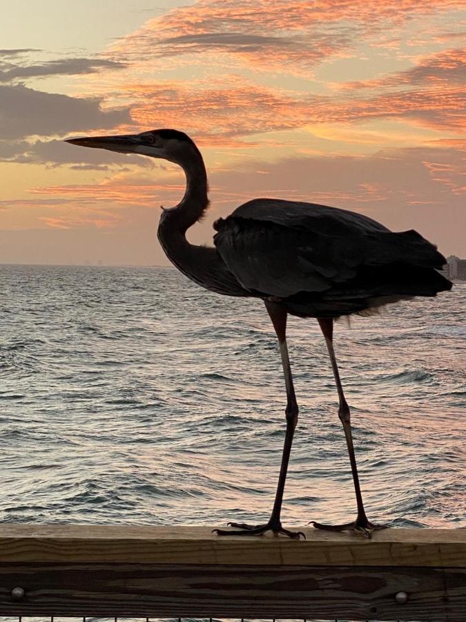 Romantic Condo For 2-Sunset Harbor Palms 1-205, Pool, Fishing Pier Navarre Εξωτερικό φωτογραφία