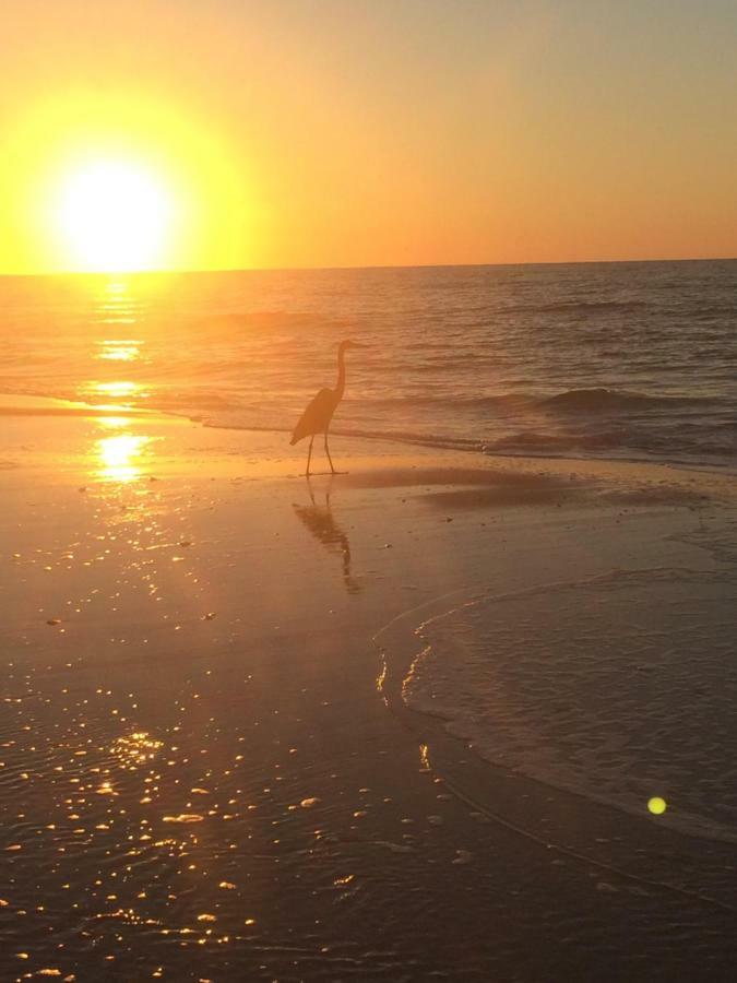Romantic Condo For 2-Sunset Harbor Palms 1-205, Pool, Fishing Pier Navarre Εξωτερικό φωτογραφία